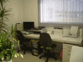 IVID_MainOffice.gif(29786 byte)
